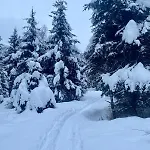 Christina 6 By Smr Close To The Gondola Rauris