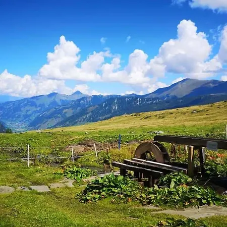 Christina 6 By Smr Close To The Gondola Apartman *