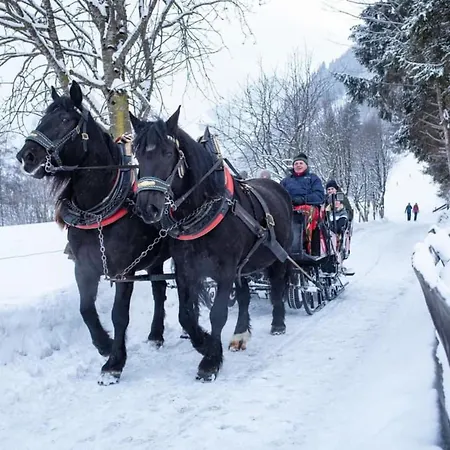 Christina 6 By Smr Close To The Gondola * Rauris