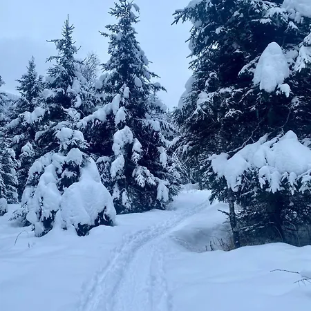 Christina 6 By Smr Close To The Gondola Rauris